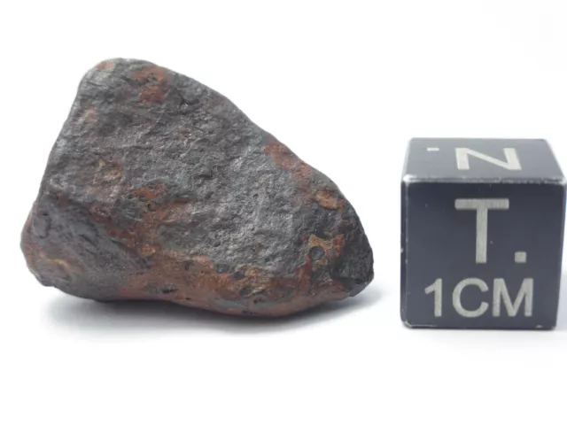 12 g Mundrabilla Iron Meteorite