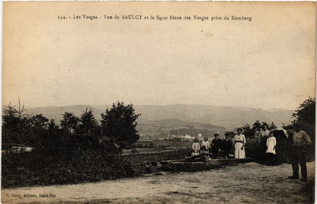 CPA AK Saulcy - Les Vosges - Vue de Saulcy (387983)