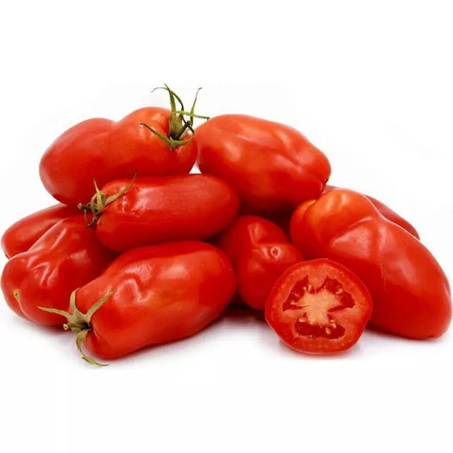 Tomato 'SAN MARZANO' Seeds Certified Organically Grown Seed