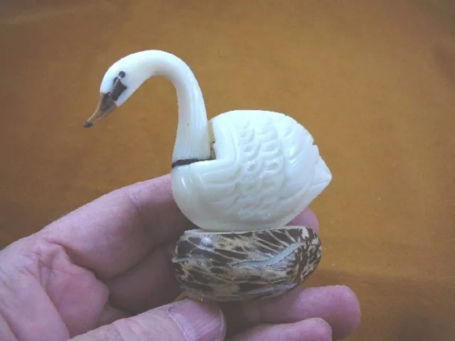 (TNE-BIR-SW-116a) white trumpeter Swan TAGUA NUT palm figurine swans