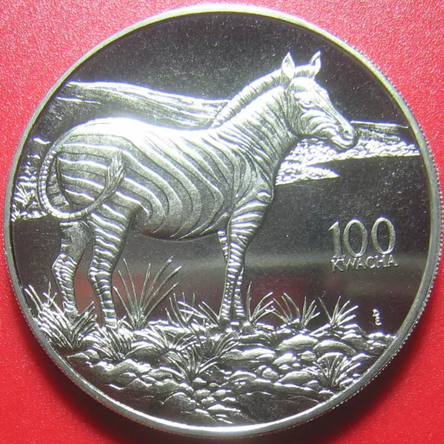 1998 ZAMBIA 100 KWACHA BURCHELL'S ZEBRA AFRICAN WILDLIFE RARE! CU-NI (no silver)