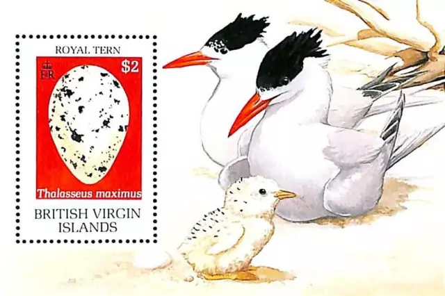 BRIT.VIRGIN IS. WATER BIRDS S/s sc#666 MNH