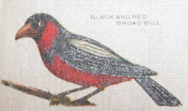 Vintage/antique promotional silk piece -use in crazy quilt - BIRD: RED BROADBILL