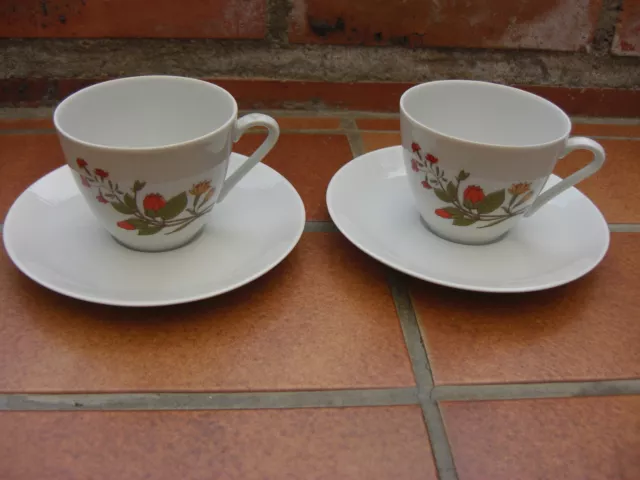 2 tasses et soucoupes Wunsiedel Bavaria motif oeillets orange porcelaine