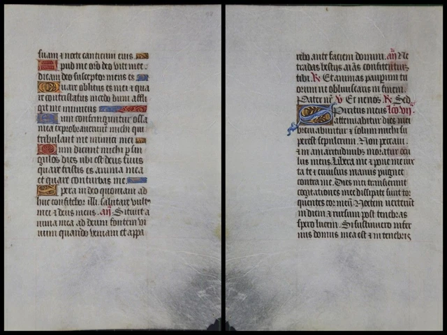 Illuminierte Grafia Su Pergamena Foglia Di Uno Miniatura Um 1500 (074)