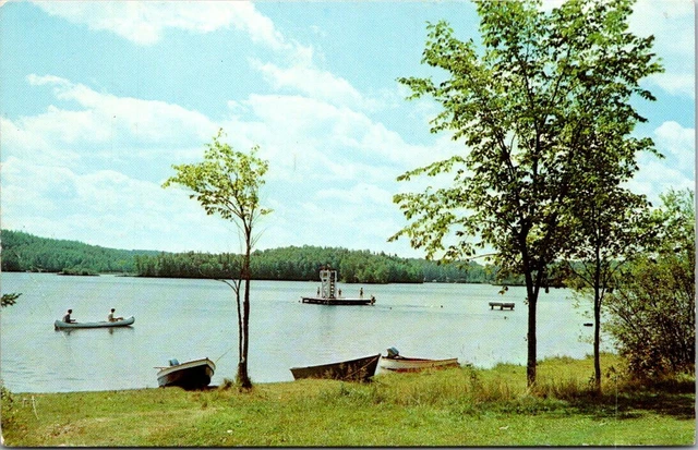 Postcard Be Wa Bic Park Between Crystal Falls And Iron River Michigan Chrome