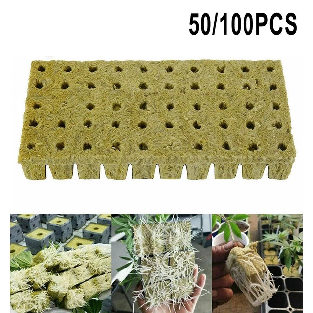Médias hydroponiques haute performance 50100 pièces bouchons de démarrage pou