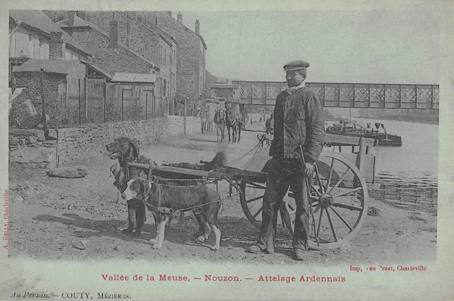 CPA 08 VALLEE DE LA MEUSE NOUZON COUPLING ARDENNAIS (Chien coupling)
