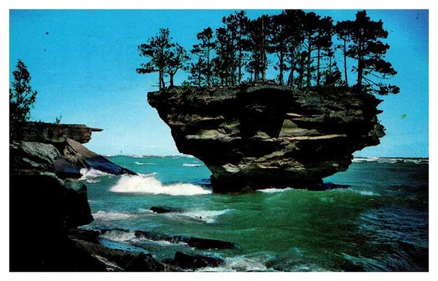Postcard NATURE SCENE Between Port Austin & Caseville Michigan MI AU2185