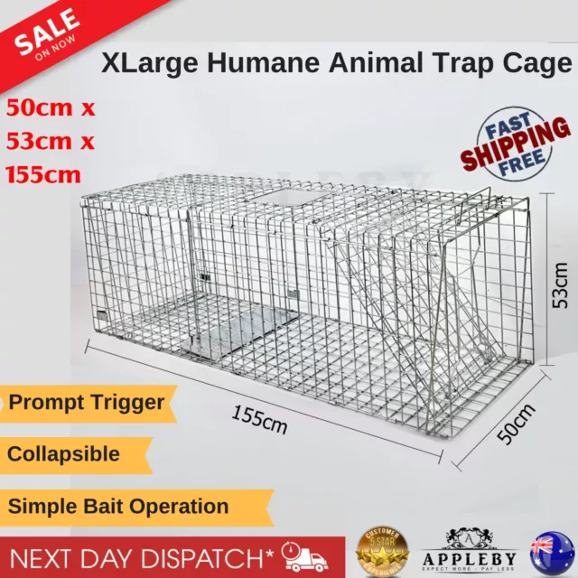 Extra Large Humane Animal Trap Cage Possum Fox Koala Dog Live Catch XL 150x50x53