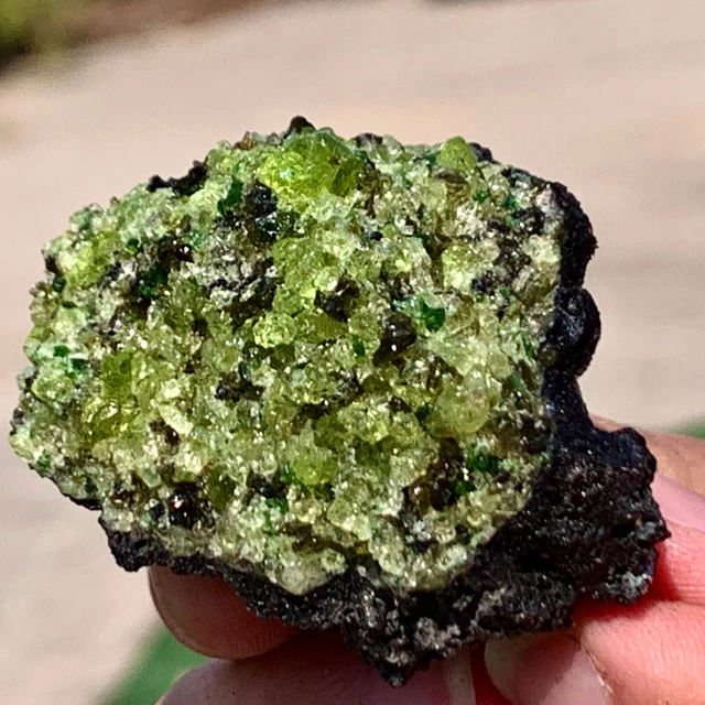 45G Natural Beautiful Olive Peridot Crystal Specimen from Supat cure.