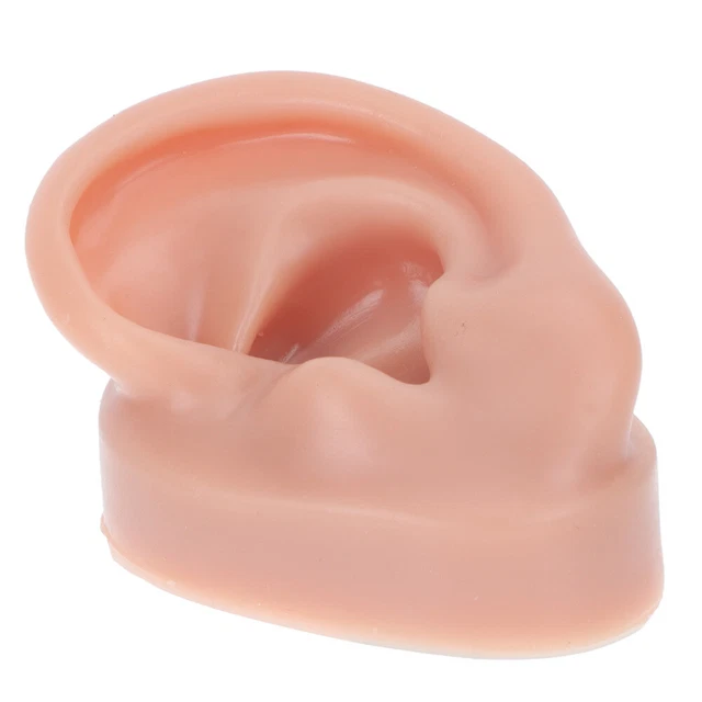 1 Paio Di Orecchie Finte In Silicone Morbido Per Pratica Piercing E Esposizione Gioielli - Modello Didattico Riutilizzabile 7,5x4,5cm