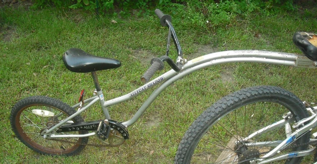 Alley cat bike 2025 trailer