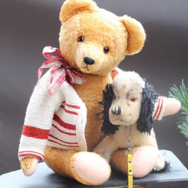 Antiker Teddy Bär 58c 1940er m Stimme & Steiff Cocker Spaniel Antique Teddy Bear