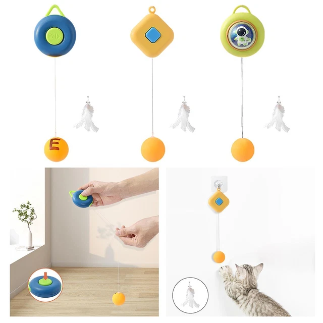 Jouets interactifs pour chat Chat Teaser  Toy Tennis de table Jouets en plumes