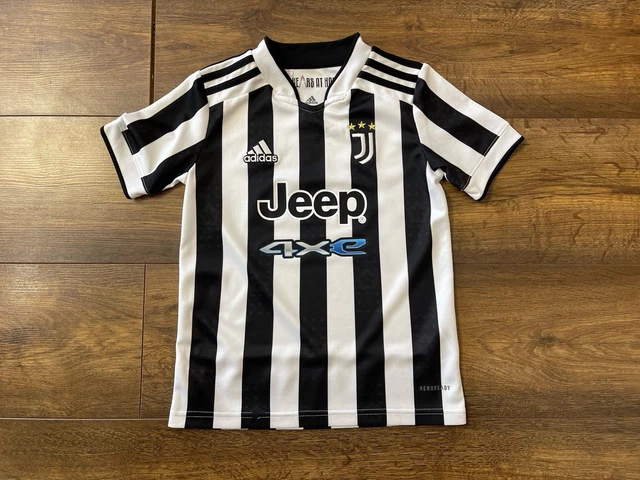 Maglia Juventus Pogba 10, Taglia L, 2015/16 nuova (Nuovo (secondo la