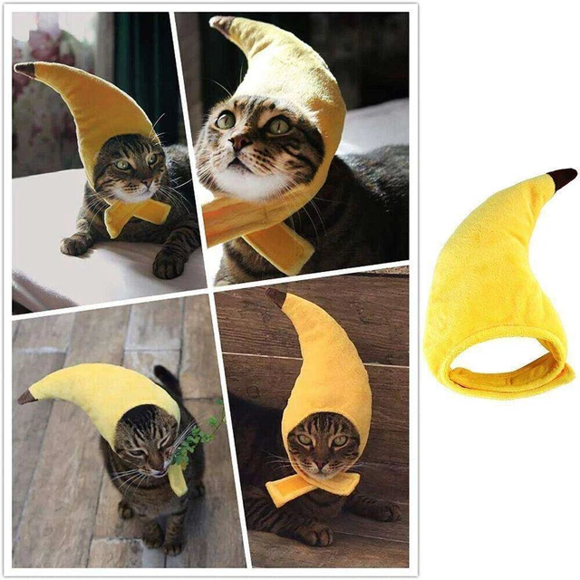 Animaux Chat Chapeau Banane Couvre-Chef Chien Chapeaux Chiot Accessoires ✿