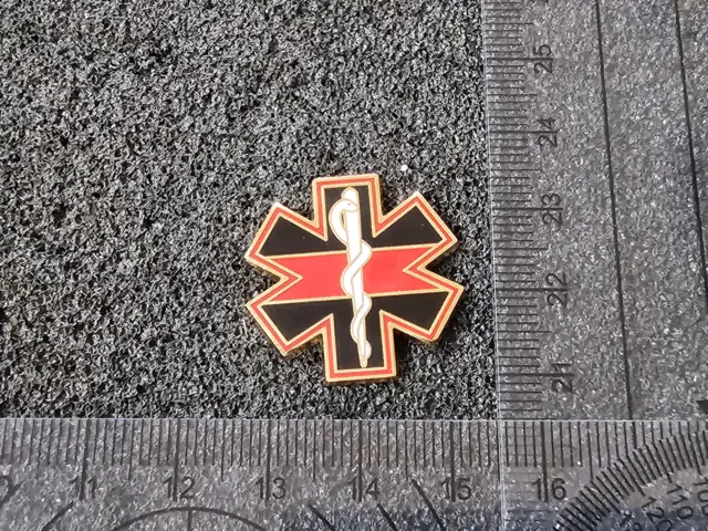 (A62-24) US Fire Brigade Deptartment FD Firefigher Pin Badge Abzeichen Crest
