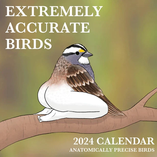 2024 CALENDAR OF EXTREMELY ACCURATE BIRDS 2024 Bird Calendar Wall