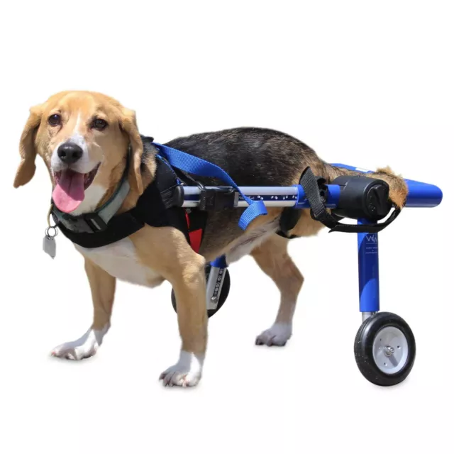 Dog Wheelchair - For Medium Dogs 26-50lbs - By Walkin' Wheels