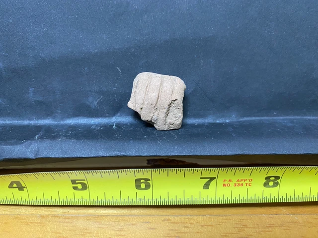 Puerto Rico, Pre-1500s, PRE-COLOMBIAN Taino, Small SHARD / Fragmento, Barro