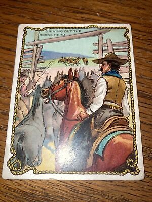 Hassan Cigarette Card Cowboy Series 1-50 Driving Out The Horse Herd