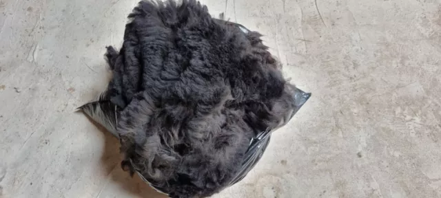 Rockleigh Alpacas - Alpaca Fleece - Black - Casanova - 550g