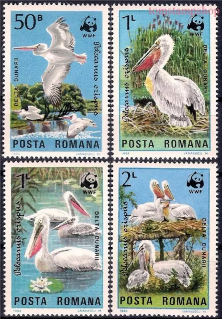 Romania 1984 WWF Pelicans Water Birds Wildlife Conservation 4v MNH