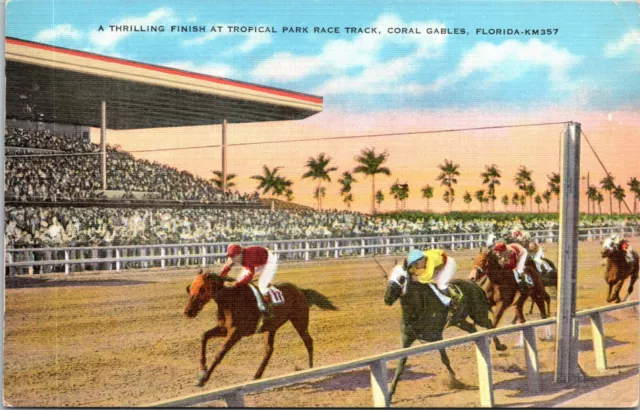 Horse Racing at Tropical Park Coral Gables Florida Linen Postcard C19