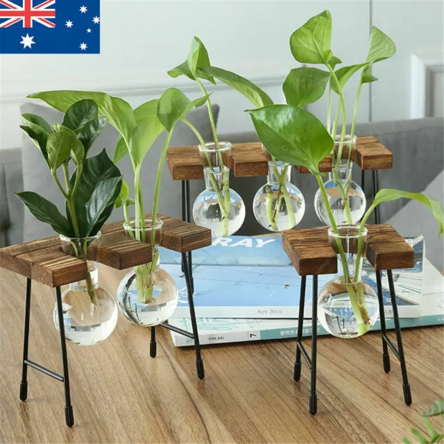 Wooden Stand Glass Flower Vase Hydroponic Hanging Plant Terrarium Container AU