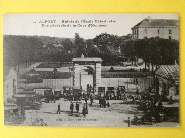 cpa MAISONS ALFORT Val de Marne Entrée de l' ÉCOLE VÉTÉRINAIRE Animé Automobiles