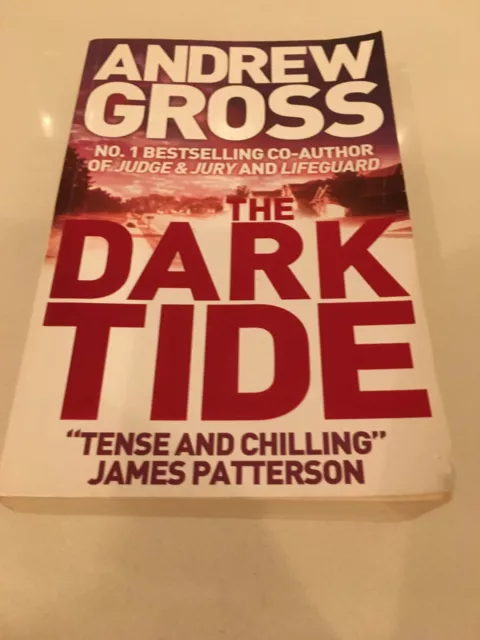 Andrew Gross The Dark Tide (Ty Hauck #1) Condition: Very Good