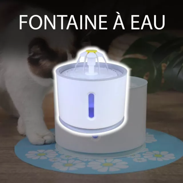 Fontaine a eau pour Chat Petit chien Distributeur automatique Filtre Charbon bol