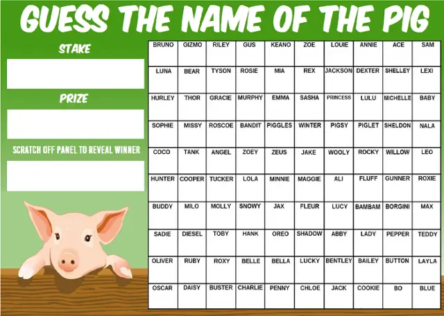 GUESS THE NAME OF THE PIG SCRATCHCARD 100 Player Squares Game Charity Fundraiser