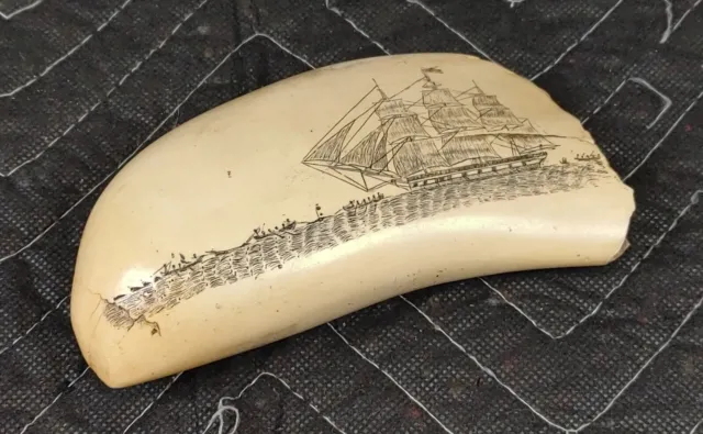 Artex Henry Ford Museum Replica Faux Engraved Sperm Whale Tooth Scrimshaw