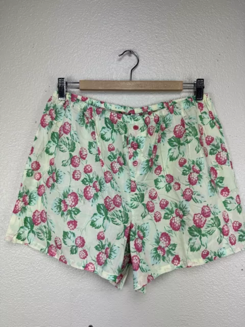 WOMEN’S BOXER STYLE Pajama Shorts Green & Raspberries Print Sz L $14.50 ...