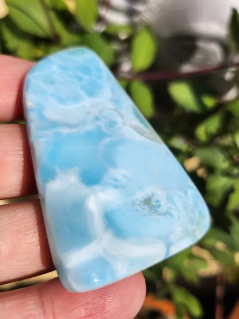 Larimar Dolphin Polished Slab Gemstone Dominican Republic Genuine 64g AAA 2