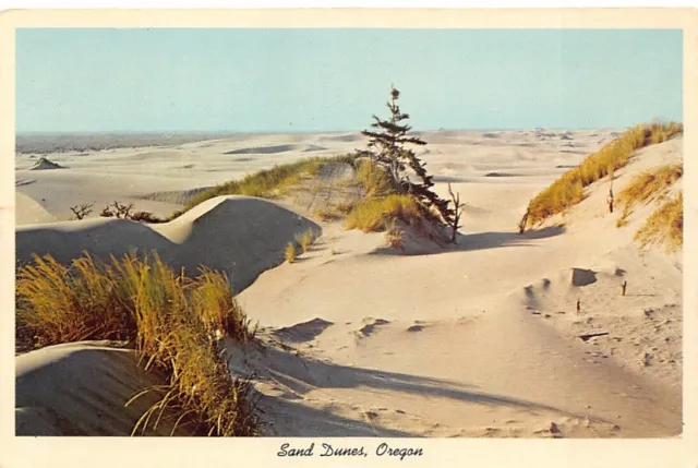 Dune City and Florence Oregon Sand Dunes Vtg Postcard CP319