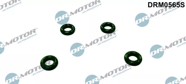 Dr. Motor Automotive DRM0565S Joint Bague ,Injecteur Support pour Ford, Jaguar