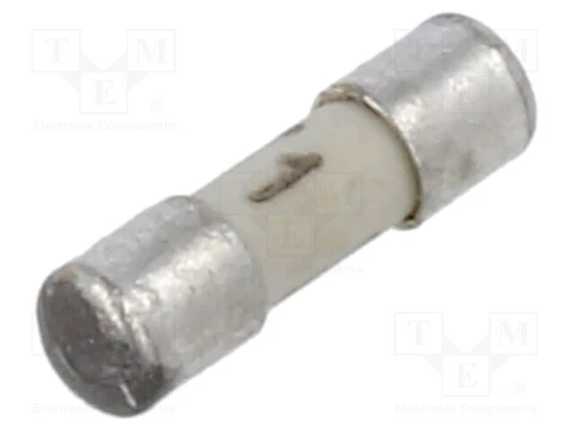 1A Sécurité : Schmelz 125VDC Fusible Céramique, Cylindrique 125VAC