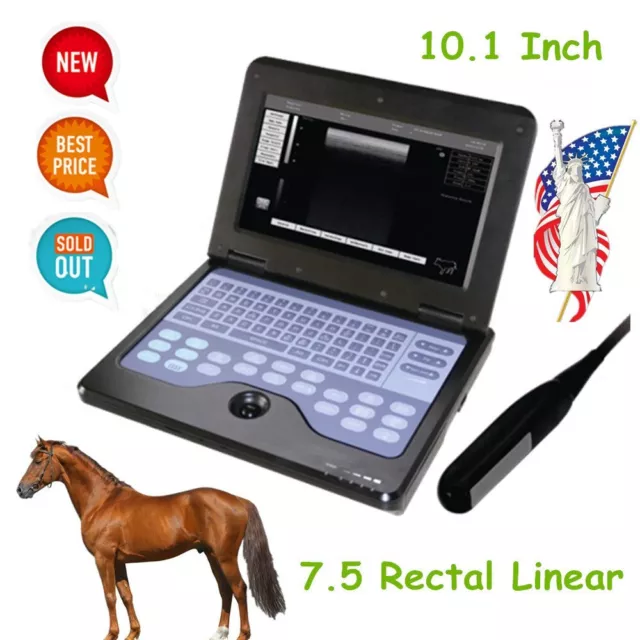 Animal Laptop Ultrasound Machine Veterinary Ultrasound Scanner VET Rectal probe