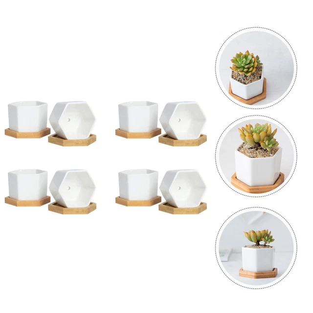 4 ensembles de pots de fleur céramique décoratifs de pots de bureau Succulent Pl