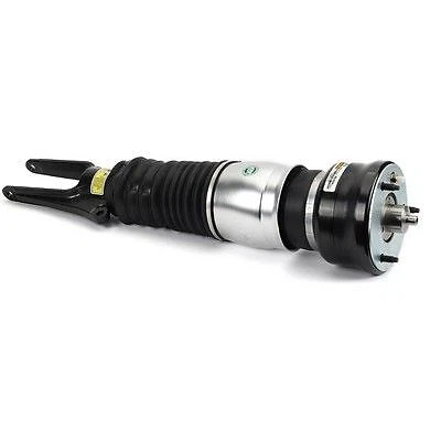Arnott ammortizzatore ammortizzatore ammortizzatore molla As-3346 anteriore sinistro
