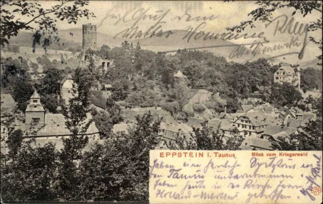 Eppstein Hessen Main Taunus AK 1904 Partie Blick vom Kriegerwald Panorama Stadt