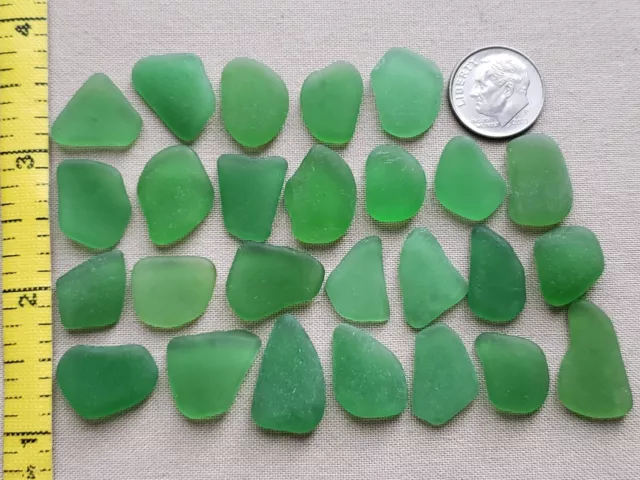 Genuine Pure Beach Sea Glass Surf Tumbled Kelly Green Frosted Ocean Small L03