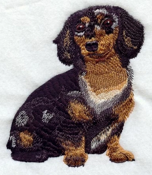 Embroidered Ladies T-Shirt - Dachshund I1224 Sizes S - XXL