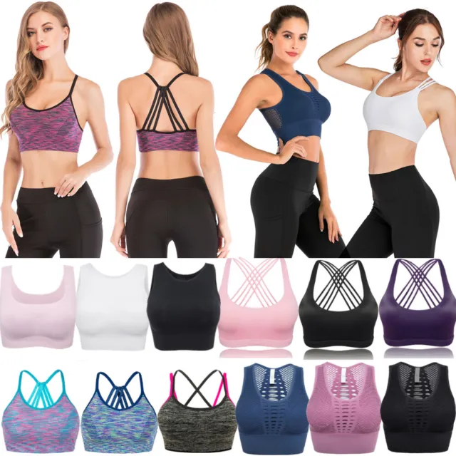Sexy Sports Bra Comfort Removable Pads Crop Top Seamless Wirefree Colorful  S-4XL