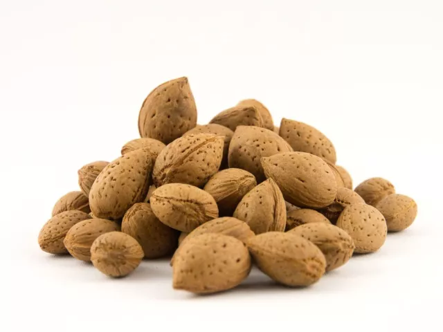 Mandorle siciliane in guscio/Sicilian almond in shell (0,5 kg)