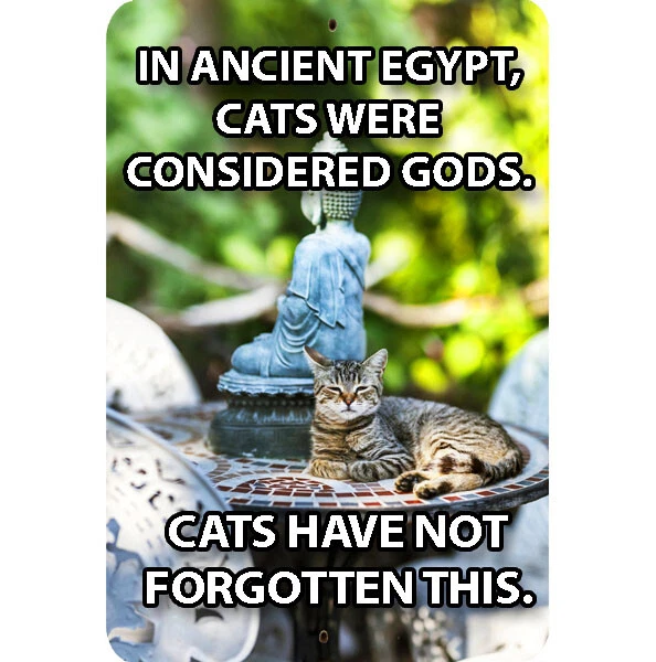 FUNNY CAT MEME Metal Sign 8x12 Egypt Cats Were Gods Buddha Regal
