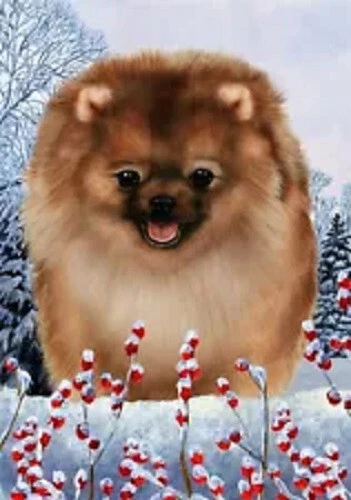 Winter House Flag - Orange Sable Pomeranian